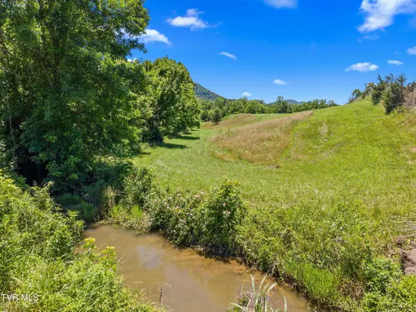 Tbd Old Mill RD, Rogersville, TN 37857