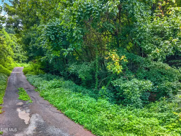 150 Mcmakin RD, Rogersville, TN 37857