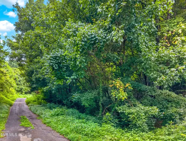 150 Mcmakin RD, Rogersville, TN 37857