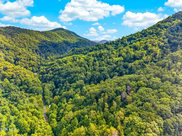150 Mcmakin RD, Rogersville, TN 37857