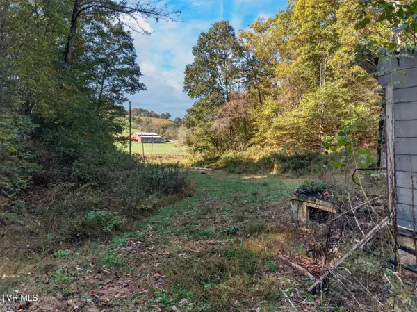 2315 Burem RD, Rogersville, TN 37857