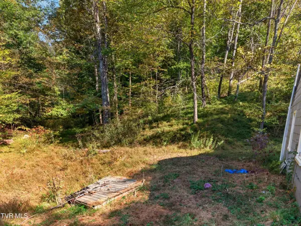 2315 Burem RD, Rogersville, TN 37857