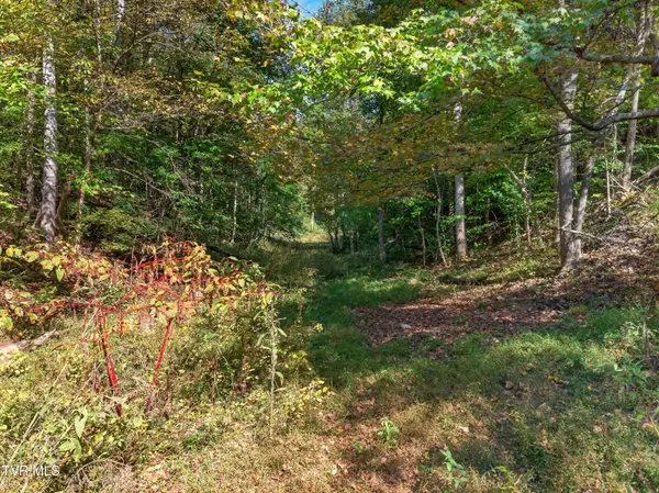 2315 Burem RD, Rogersville, TN 37857