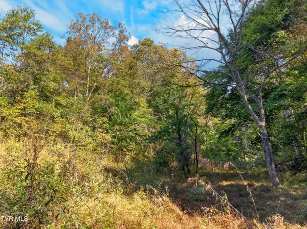 2315 Burem RD, Rogersville, TN 37857