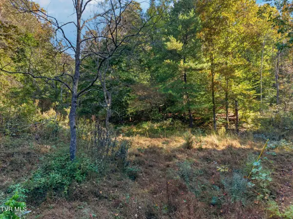 2315 Burem RD, Rogersville, TN 37857