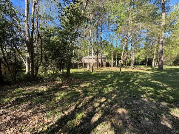 123 E Park DR, Montgomery, TX 77356