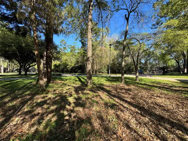 123 E Park DR, Montgomery, TX 77356