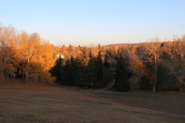 Sunrise_at_Confederation_Park_Calgary_(10277484574)