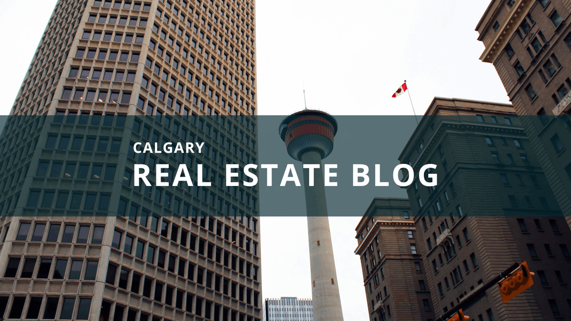 blog banner