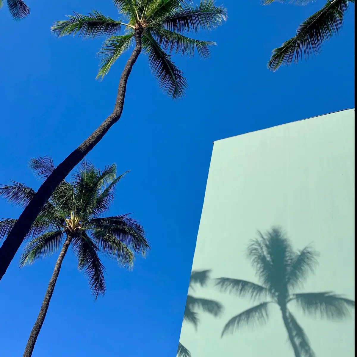 pexels-laurent-bourscheidt-1278600-2440284