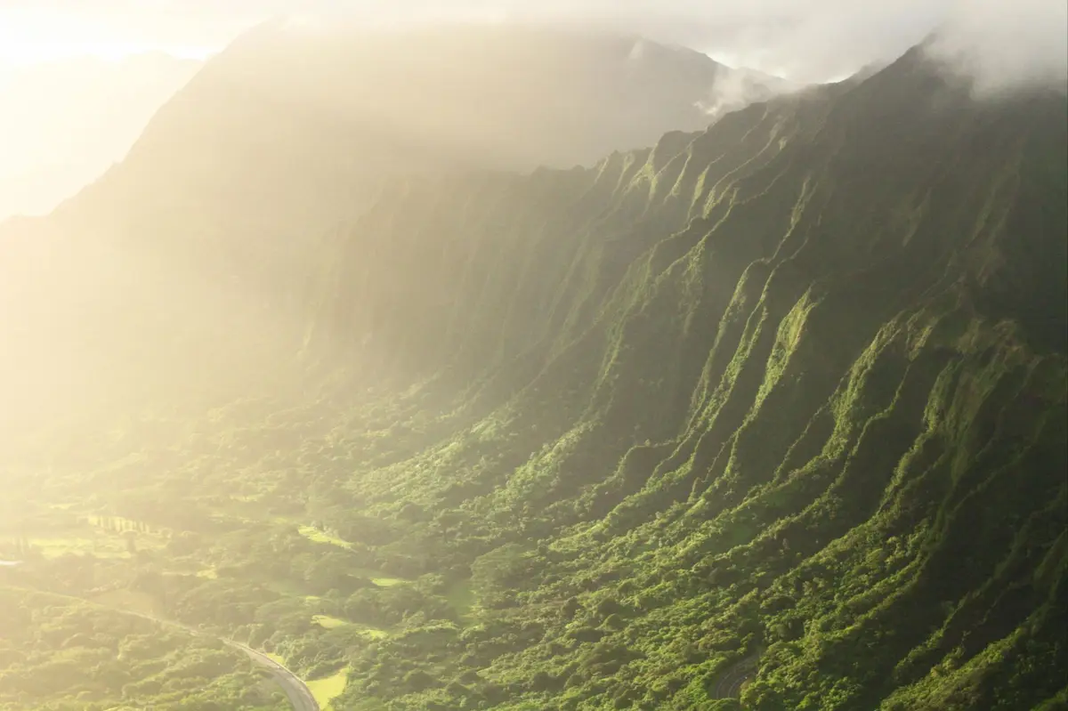 pexels-jeremy-bishop-1260133-2397415