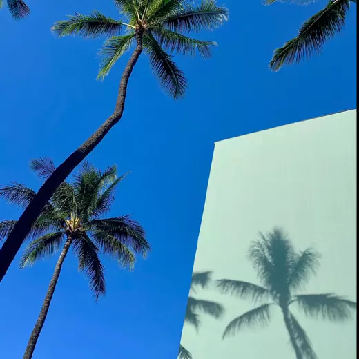 pexels-laurent-bourscheidt-1278600-2440284