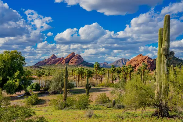 Shannon Quagliata Real Estate Scottsdale Arizona Realtor (7)