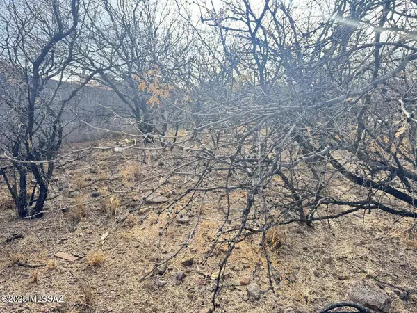 1241 Virgo Court #49, Rio Rico, AZ 85648