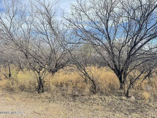 1241 Virgo Court #49, Rio Rico, AZ 85648