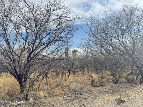 1241 Virgo Court #49, Rio Rico, AZ 85648