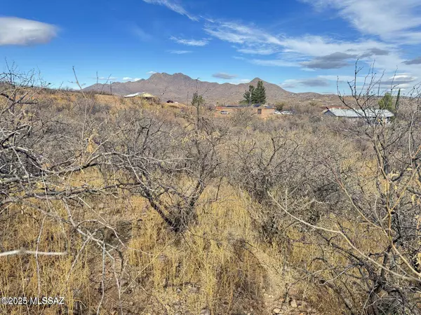 1241 Virgo Court #49, Rio Rico, AZ 85648