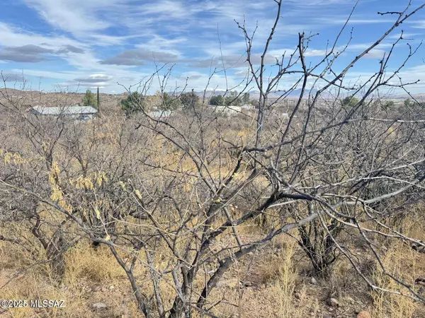 1241 Virgo Court #49, Rio Rico, AZ 85648