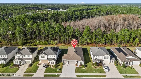 1917 AMBERLY DR, Middleburg, FL 32068