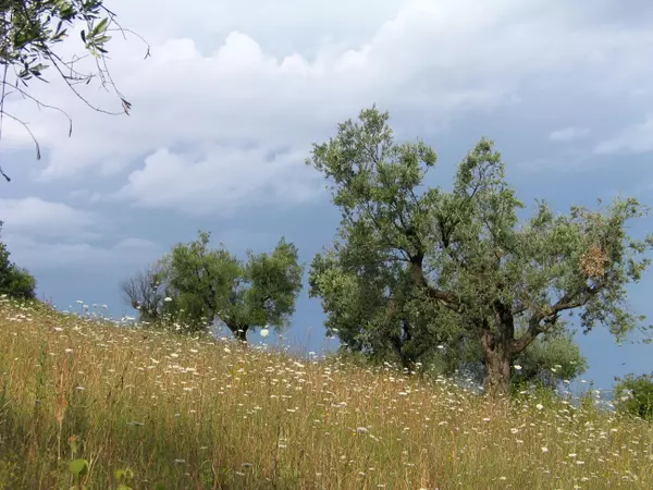 Exploring East County: La Mesa, Spring Valley, El Cajon & Santee