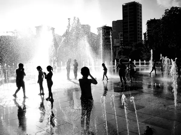 Top Things to Do in San Diego with Kids: From Balboa Park to the Beaches