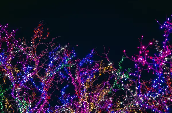 Things to Do in December in San Diego – Holiday Lights, Festivities & Seasonal Markets