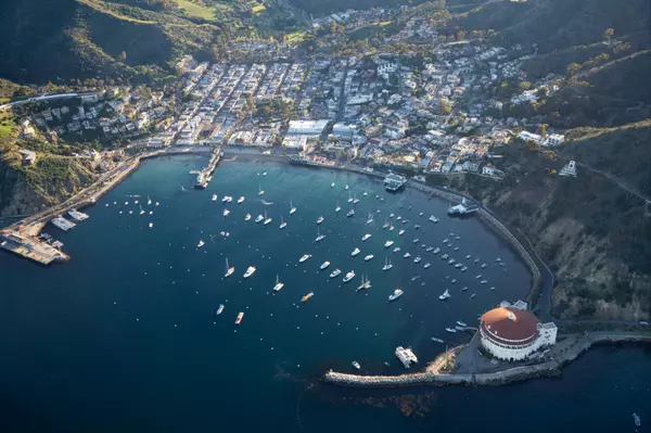 Catalina Island: Quick Escape from San Diego