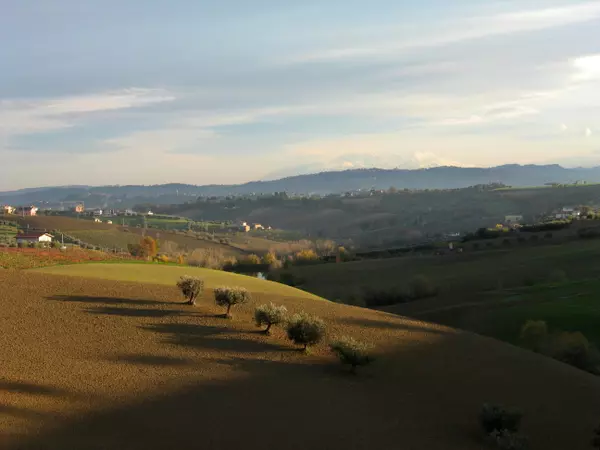 Living in Campo, California
