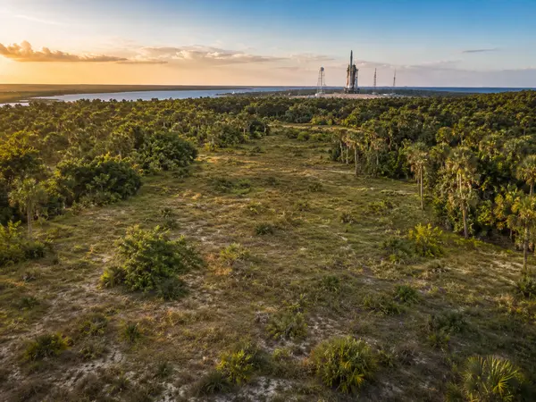 Empty coastal land lot surrounded by natural Florida scrub, palm trees, and greenery with Cape Canaveral launch structures in the distance at sunset.