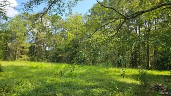 16761 SUNSHINE DR, Ralph, AL 35480