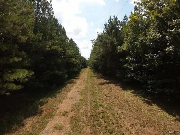 00 Gary Nichols DR, Marion, AL 36756