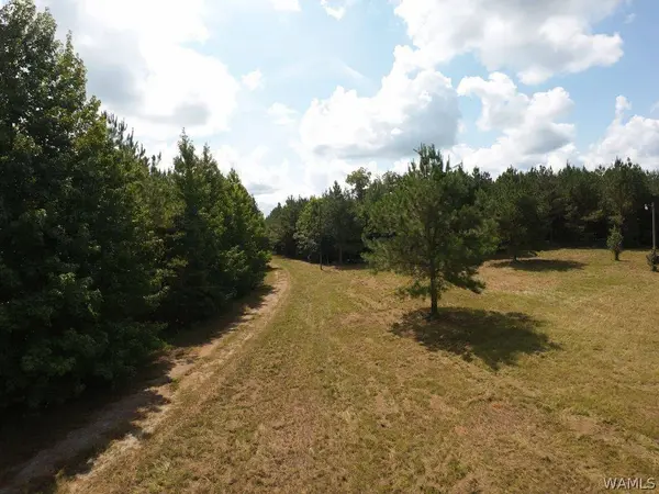 00 Gary Nichols DR, Marion, AL 36756