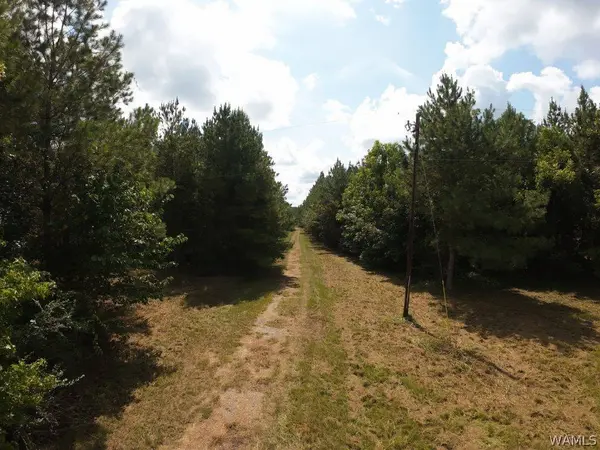 00 Gary Nichols DR, Marion, AL 36756