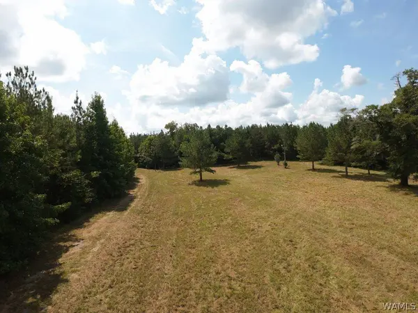 00 Gary Nichols DR, Marion, AL 36756