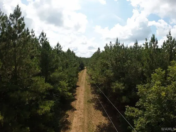 00 Gary Nichols DR, Marion, AL 36756