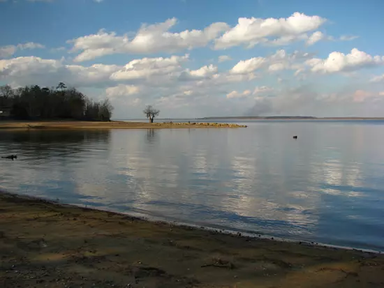 marion06