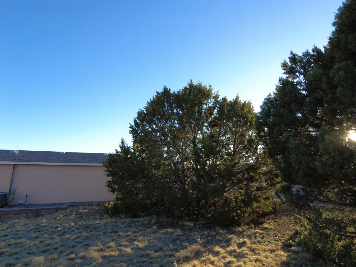 Los Pinos Cir, Silver City, NM 88061