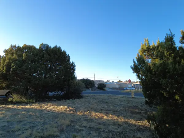 Los Pinos Cir, Silver City, NM 88061