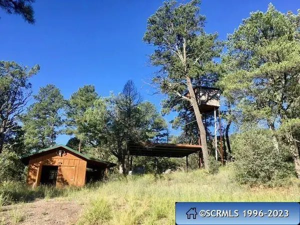 287 Cooney RD, Mimbres, NM 88049