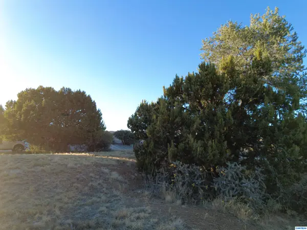## Los Pinos, Silver City, NM 88061