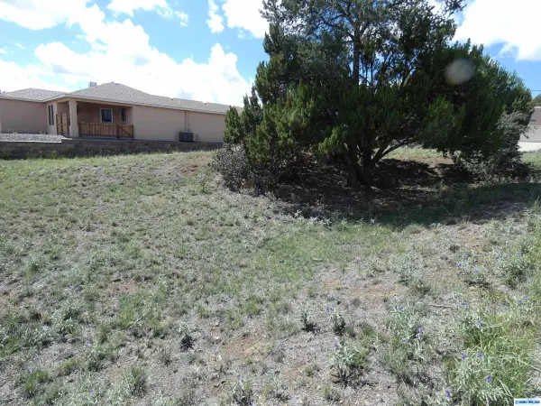 ## Los Pinos, Silver City, NM 88061