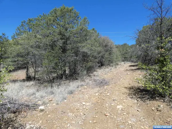129 Enchanted TRL, Silver City, NM 88053