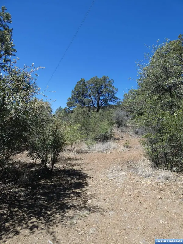 129 Enchanted TRL, Pinos Altos, NM 88061