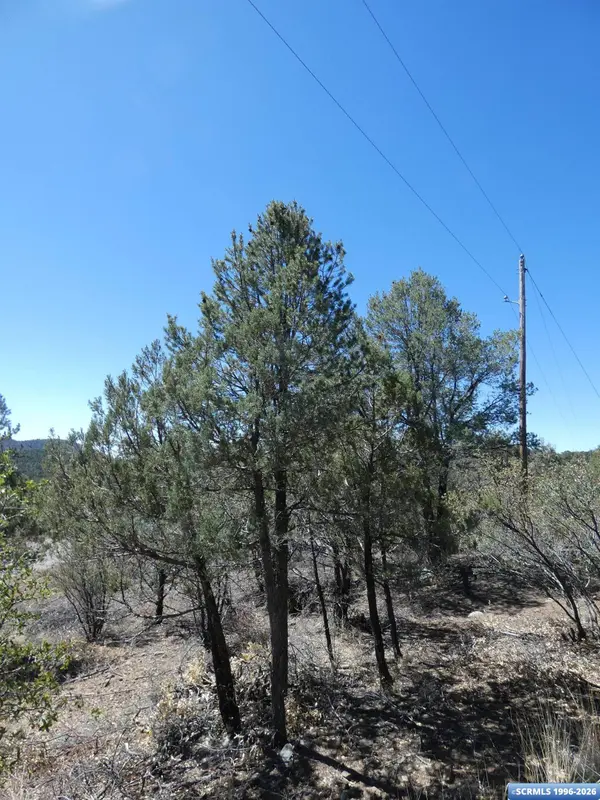 129 Enchanted TRL, Silver City, NM 88053