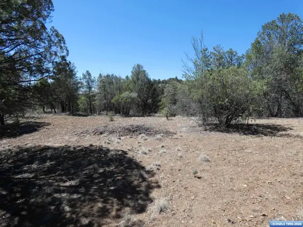 129 Enchanted TRL, Pinos Altos, NM 88061