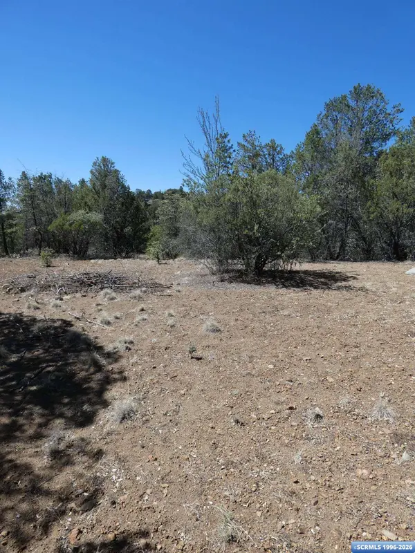 129 Enchanted TRL, Pinos Altos, NM 88061