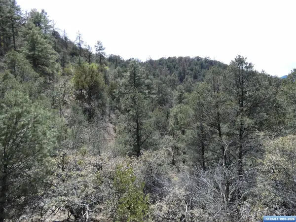 ## Radio Tower RD, Pinos Altos, NM 88053