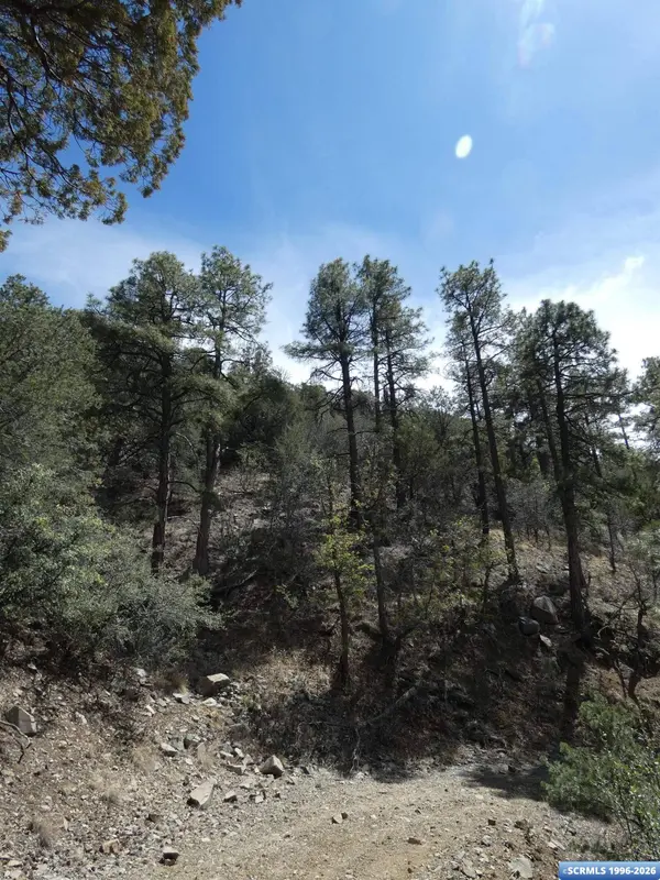 ## Radio Tower RD, Pinos Altos, NM 88053