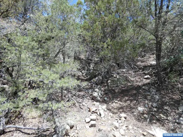 ## Radio Tower RD, Pinos Altos, NM 88053