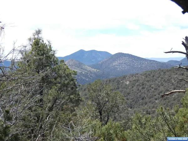 ## Radio Tower RD, Pinos Altos, NM 88053